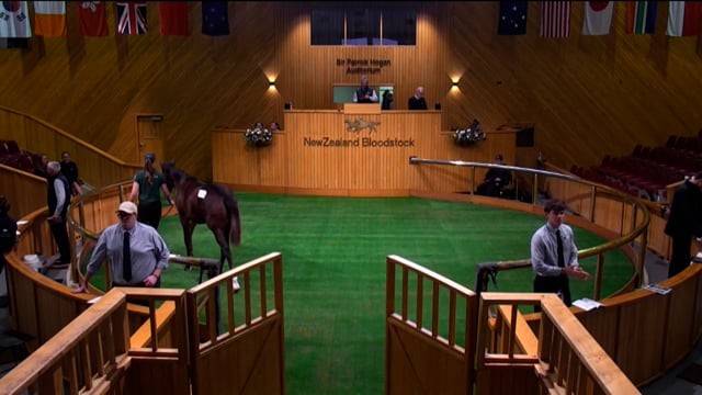 2025 National Standardbred Weanling Sale - Lots 1026 - 1034