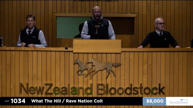 2025 National Standardbred Weanling Sale - Lots 1034 - 1042