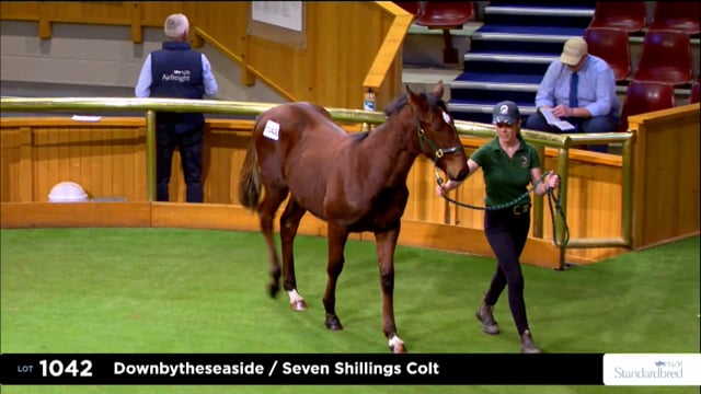 2025 National Standardbred Weanling Sale - Lots 1042 - 1052