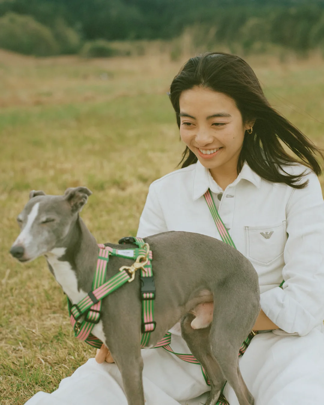 SIIILON Dear DOG trainer 犬 シーロン SIIILON Dear DOG trainer （SIIILON Dear DOG trainer | trava