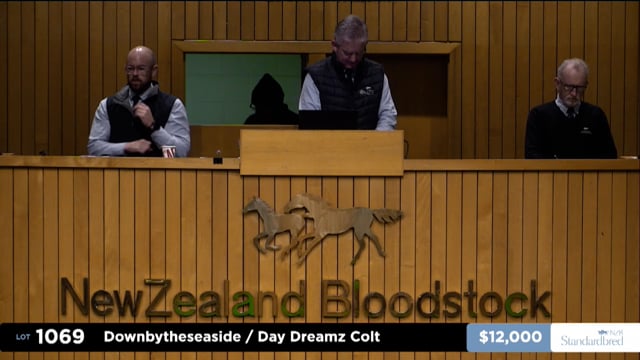 2025 National Standardbred Weanling Sale - Lots 1069 - 1078