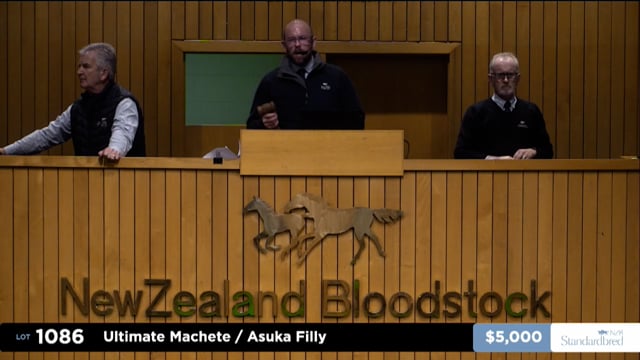 2025 National Standardbred Weanling Sale - Lot 1086 - End of Day