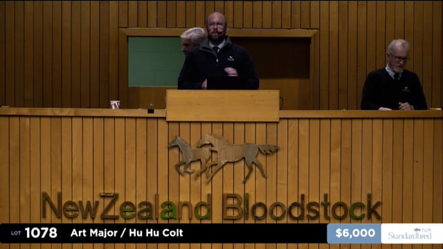 2025 National Standardbred Weanling Sale - Lots 1078 - 1086