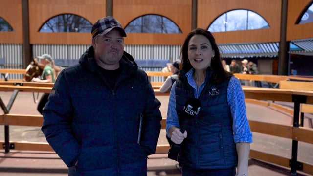 2025 National Weanling Sale - Adrian Stanley