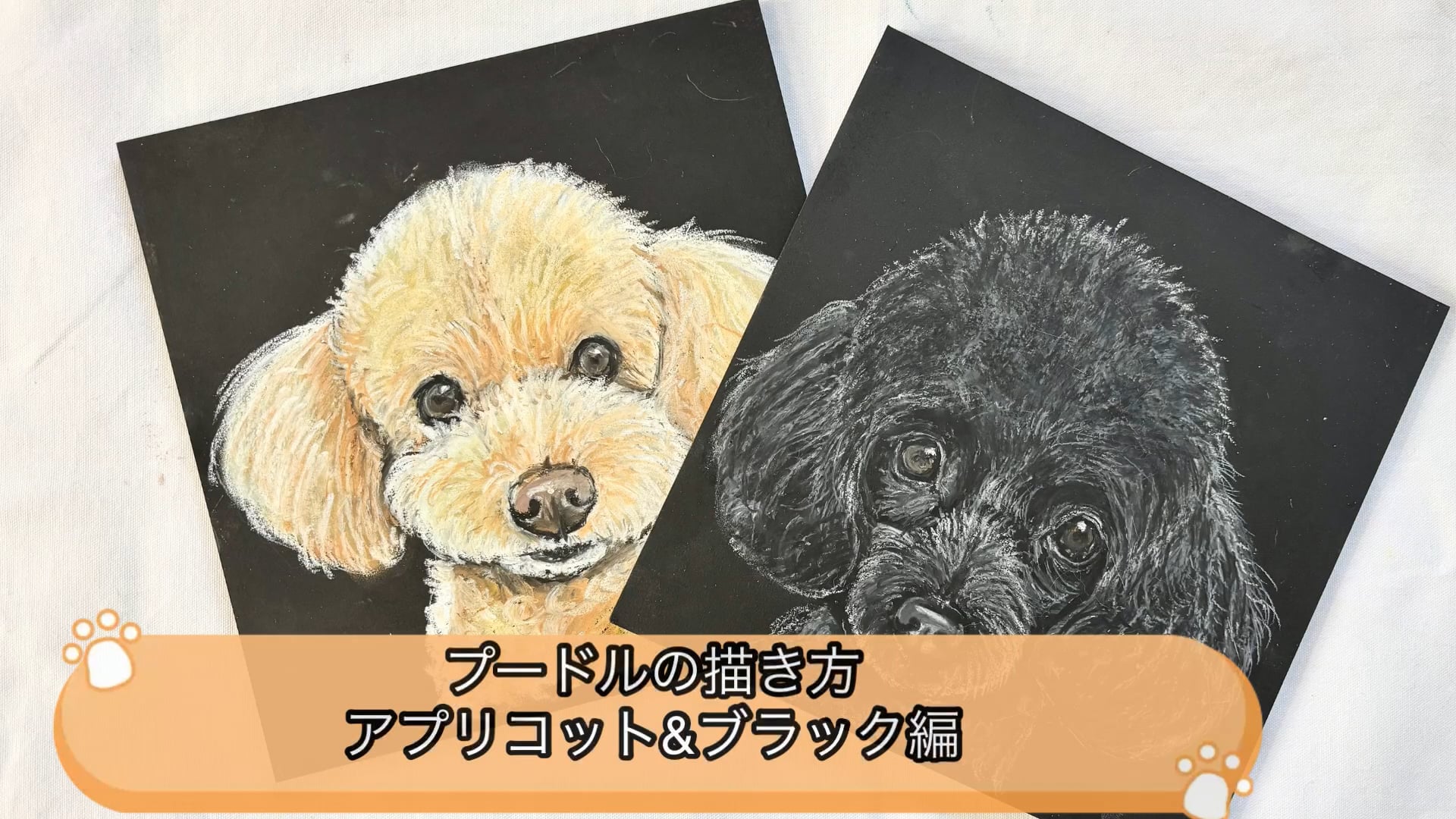 予告編動画のサムネイル画像