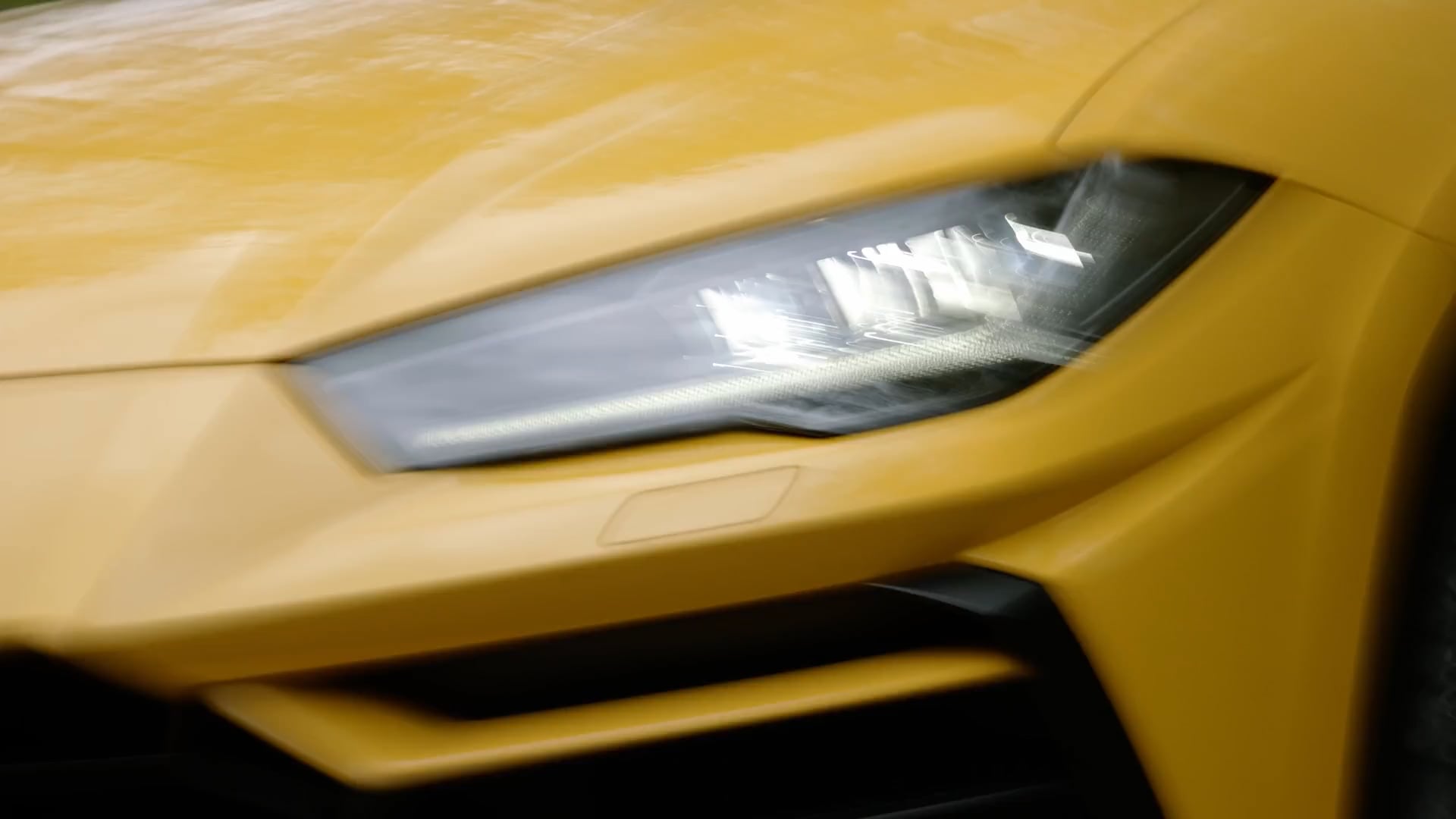 Urus