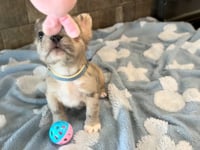 Watch me play!