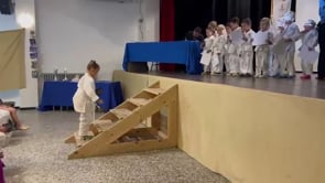 Final de curs del Jujitsu