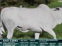 Lote 30