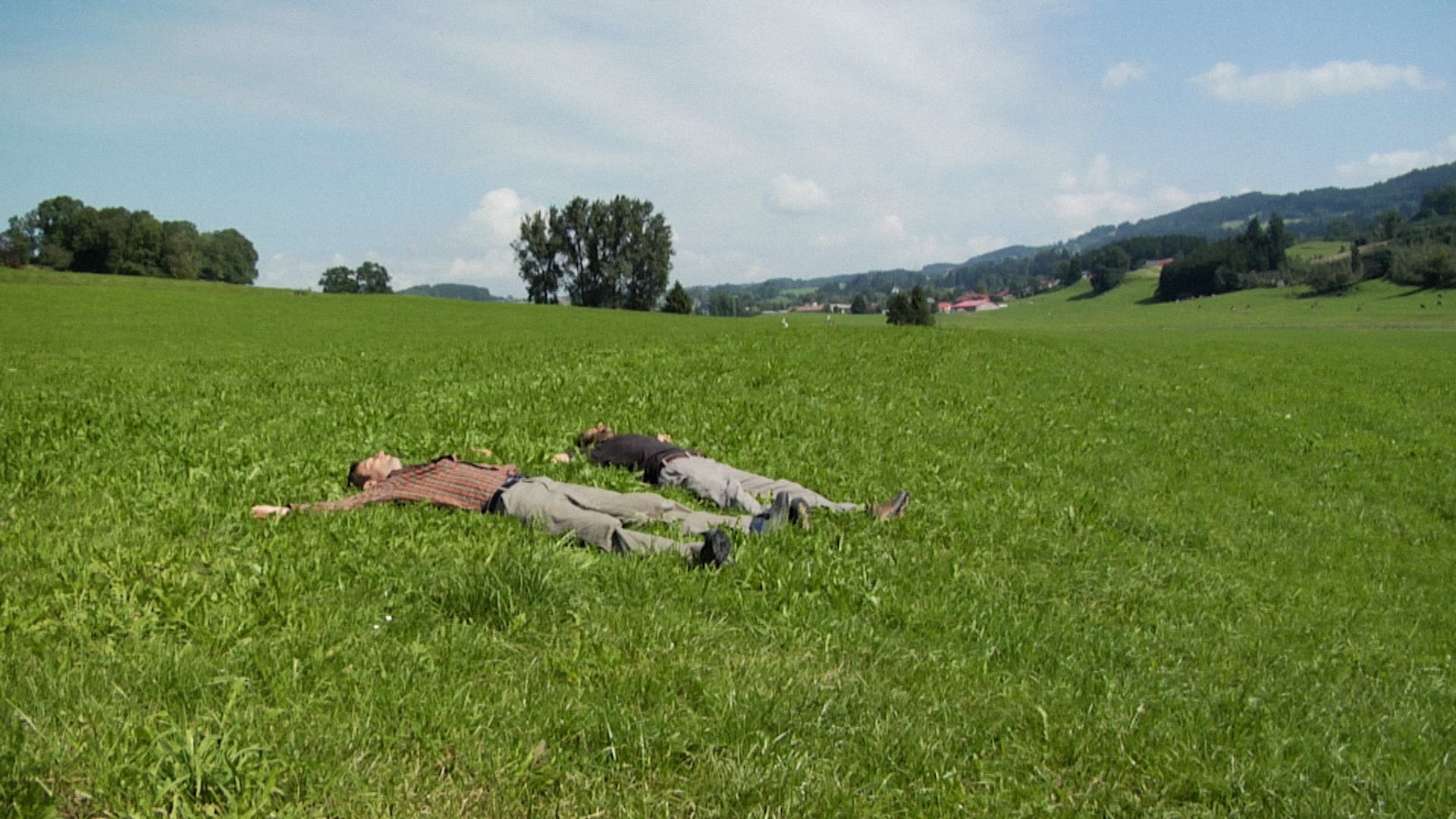 DAS ZWEITE LEBEN DES TAL NIV