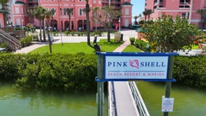 Related Embedded Video Item Thumbnail