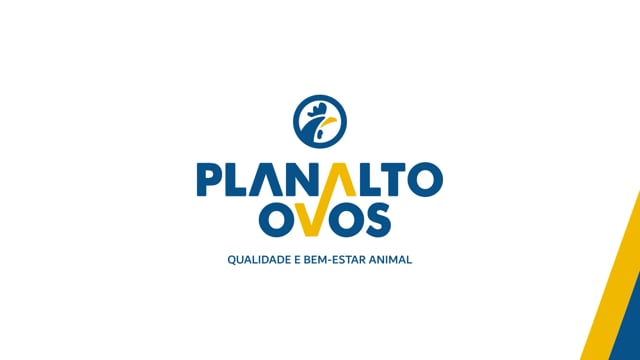 Planalto Ovos: Institucional | Canvas