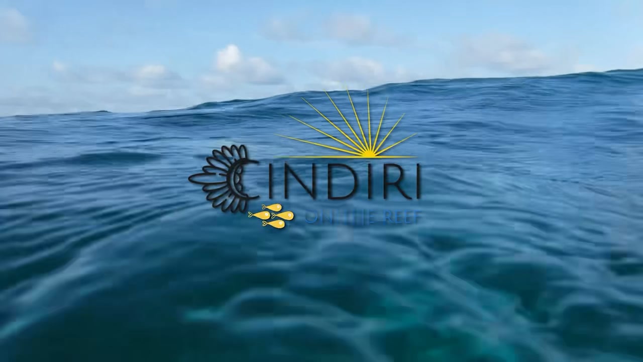 https://i.vimeocdn.com/video/2030843025-69cde8709f8da182c26532f2c439cfce4b045a2f3b77ffb7195756ab13a11804-d