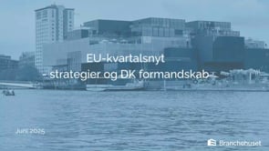 EU-kvartalsnyt Q2 2025