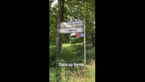 Thierry Froidevaux - Fauche infrarouge