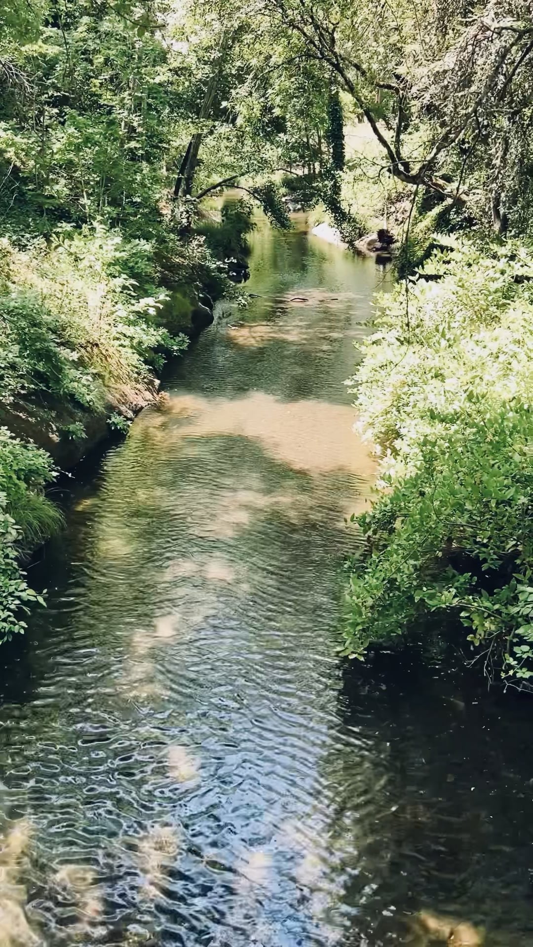 https://i.vimeocdn.com/video/2031266679-a9ecd0f3b2d3d8870949487665b1d63e199e7507a9c7f8c3d8c4f8e4c4396cae-d