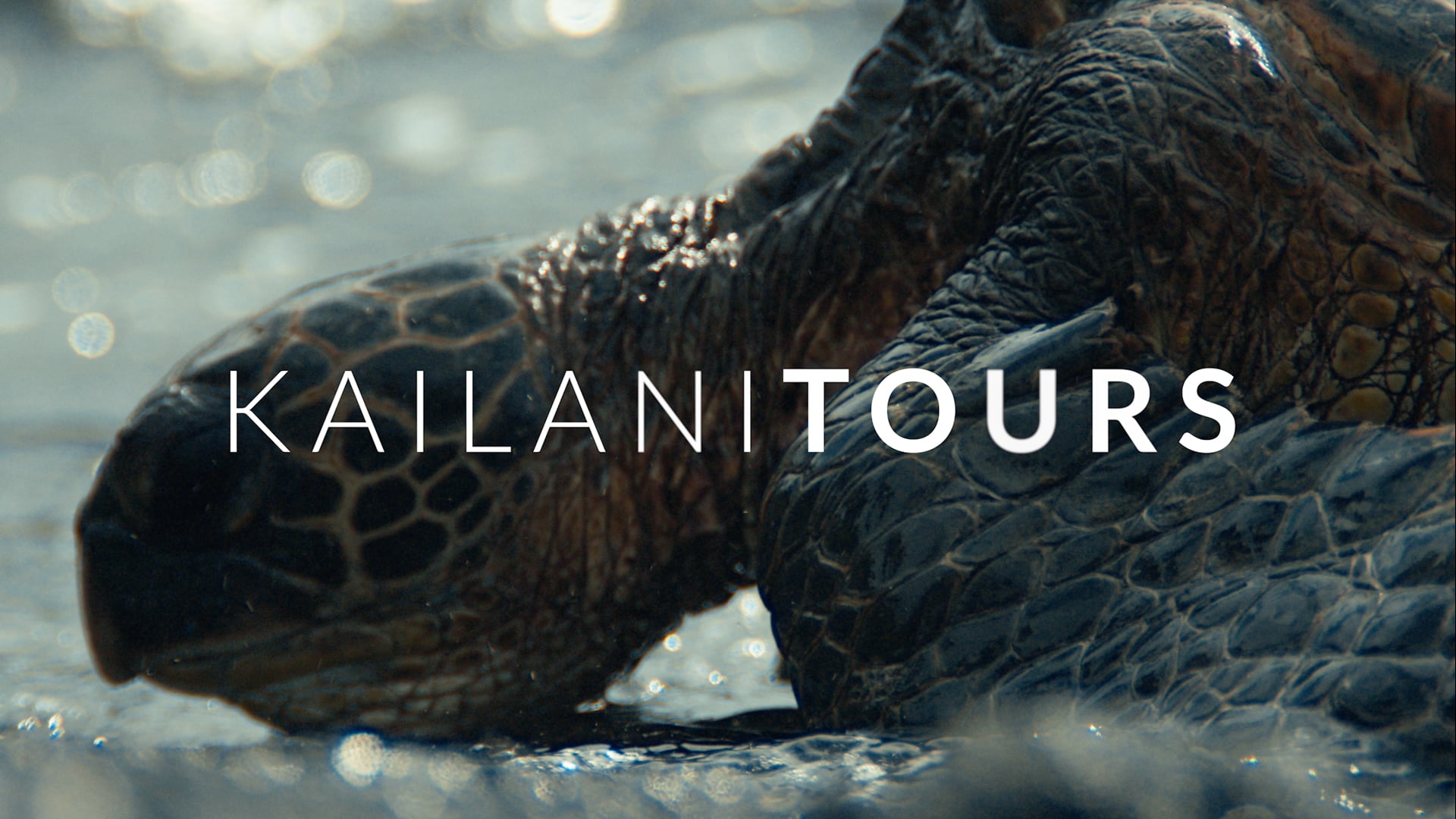 Kailani Tours Official Hero Video