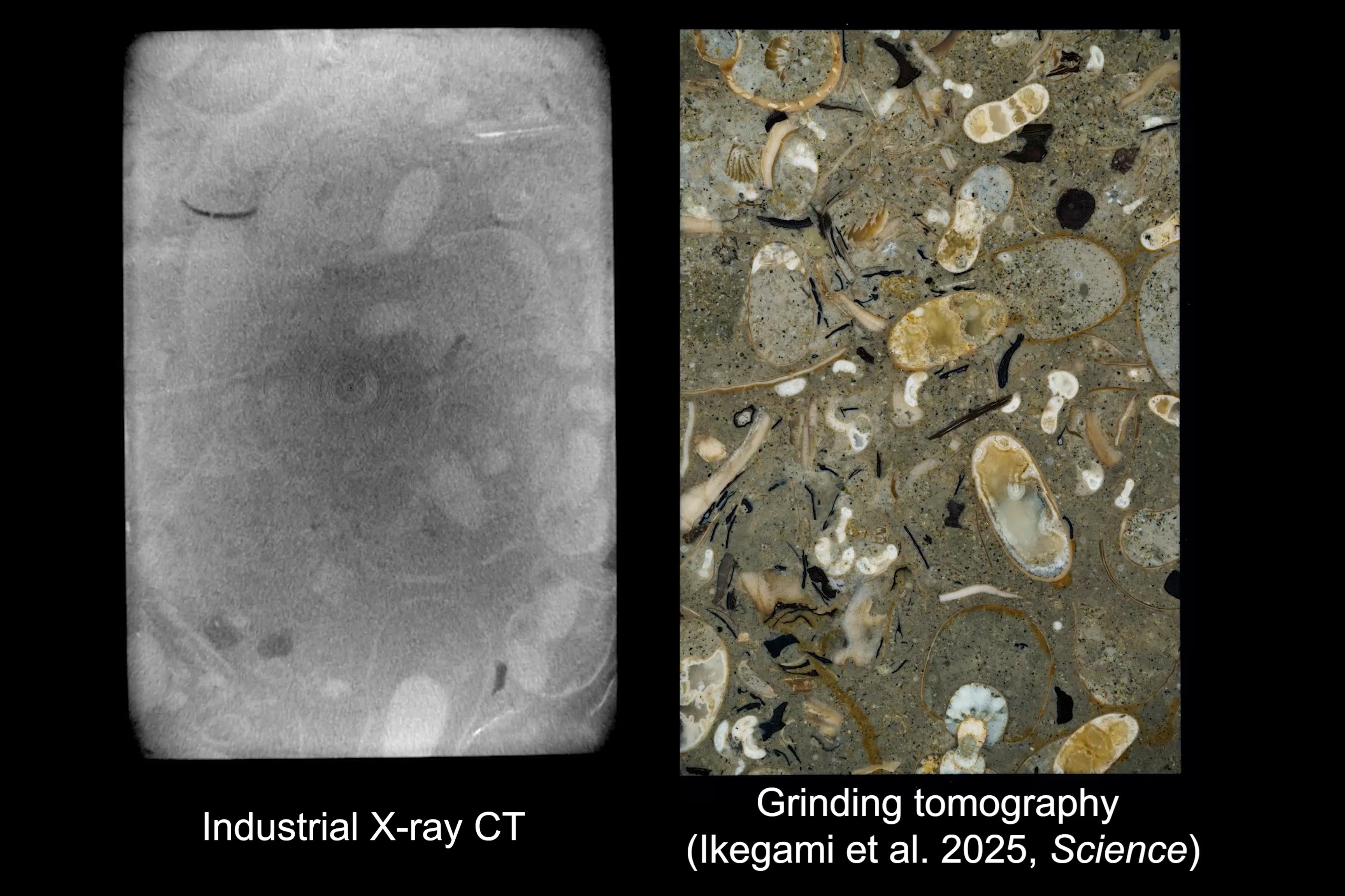 2031353109-1055be3e93f6e9a15edc48a290cce7dea9213ea04d736b28fb5e288d00a75720-d?f\u003dwebp\u0026region\u003dus