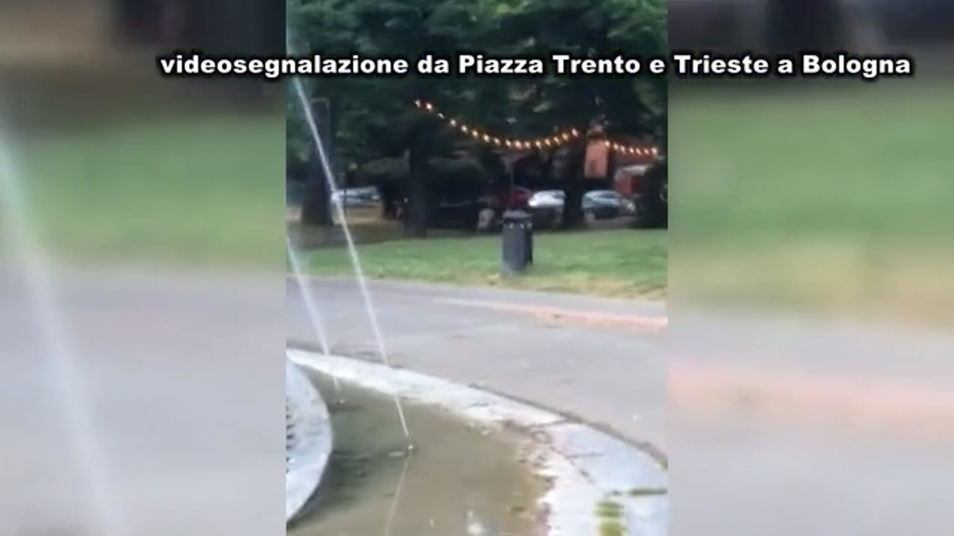 In Piazza Trento e Trieste erba e piante secche perché non funziona l’irrigazione