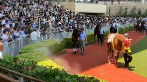 動画サムネイル