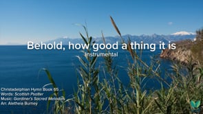 Instrumental - Hymn 65 - Behold, how good a thing it is