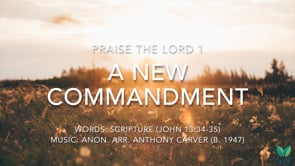 PTL 1 - A new commandment