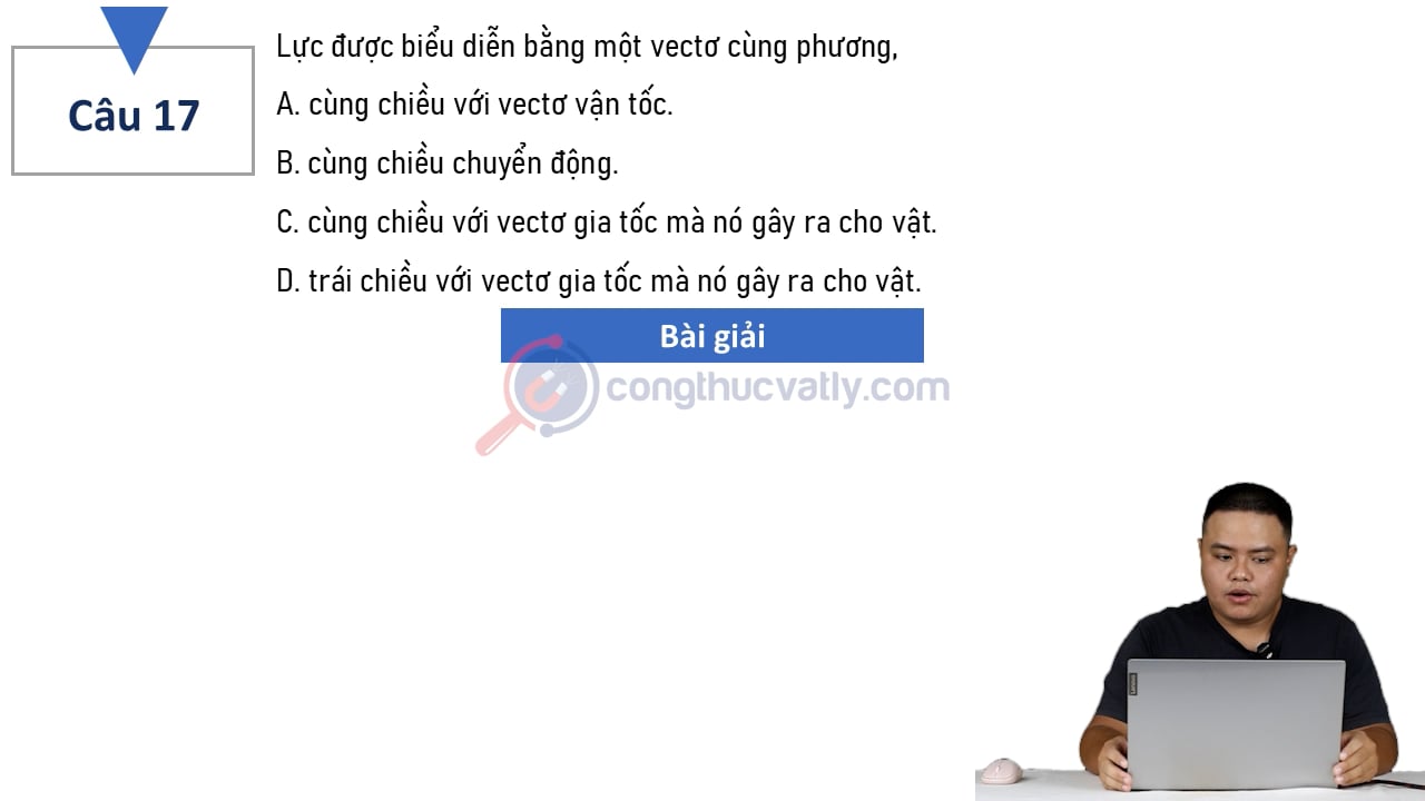 Lực được biểu diễn bằng một vectơ cùng phương, 