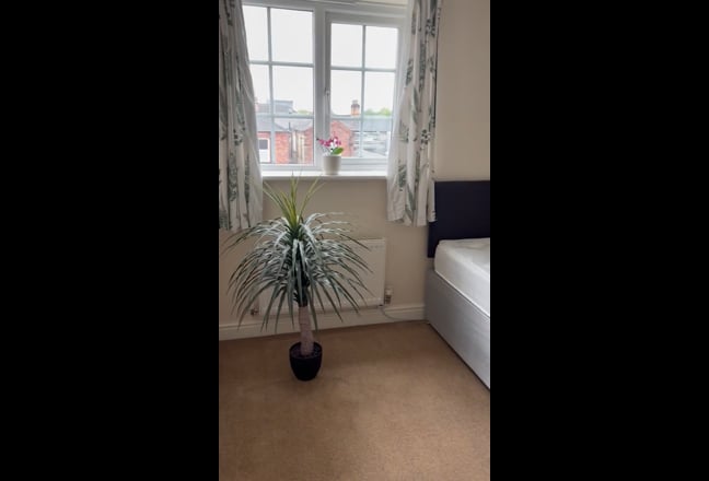 Nice Room in a Quiet House Main Photo