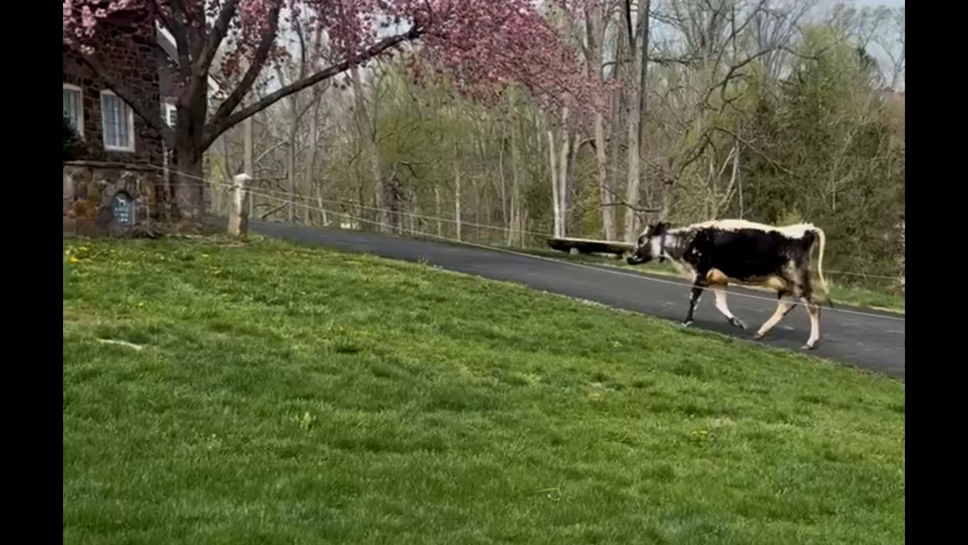 https://i.vimeocdn.com/video/2031684297-769d549195dc33a2e950cd672b6db1604fe079b4ca285b235a11f06175425126-d