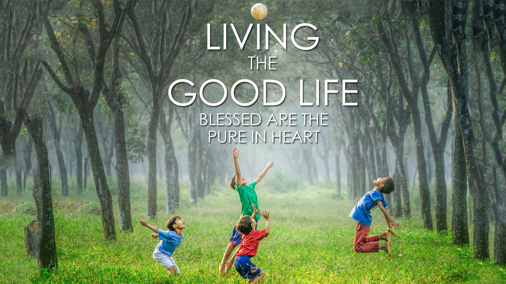 Blessed are the Pure in Heart