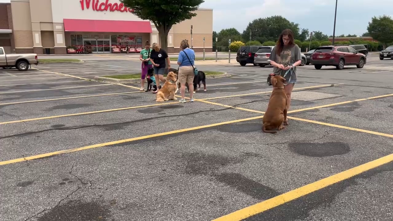 https://i.vimeocdn.com/video/2031729294-ee9520c52f65cd8c75df02343e579024d046f7530f37aac975d1ad581c1034f5-d