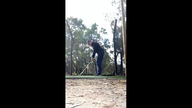 Play swing video