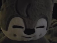STRAY KIDS 5TH FANMEETING SKZ 5'CLOCK MD [ SKZOO PLUSH