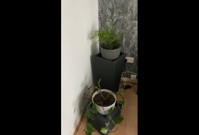Video 1: Living room