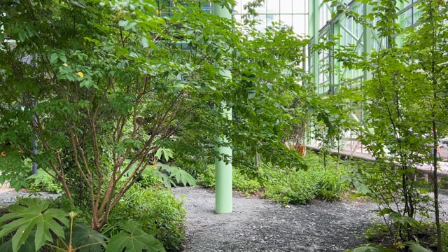 250515-OA-51N4E-ZIN Greenhouse