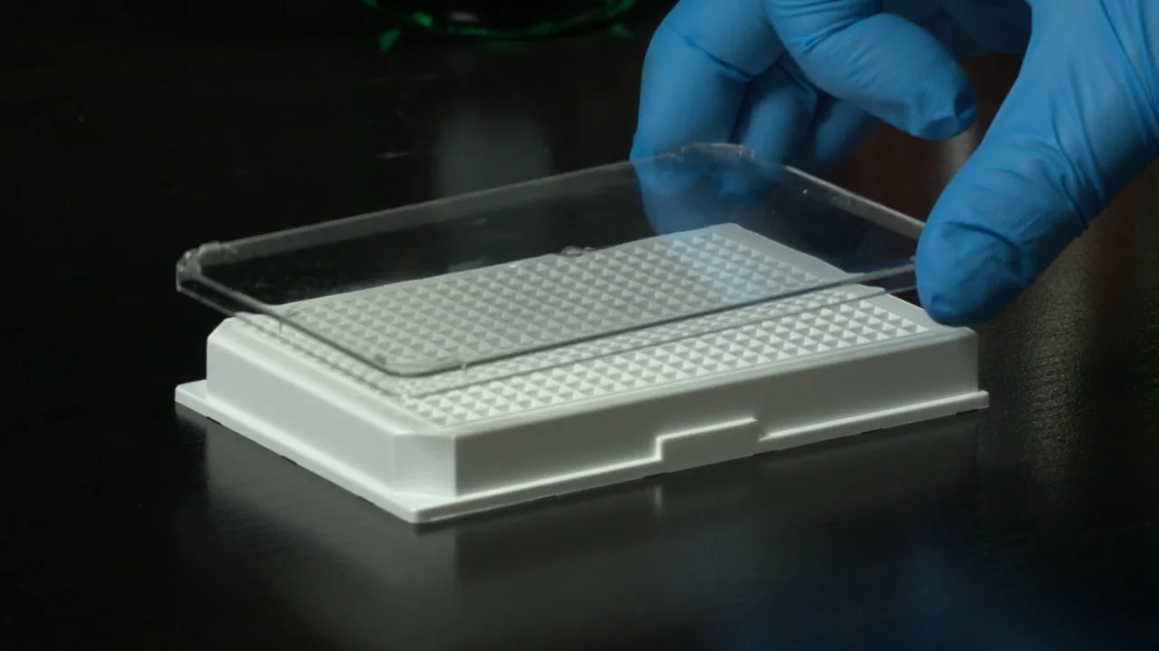 BrandTech Sterile Non-Treated pureGrade S 384-Well Plate F