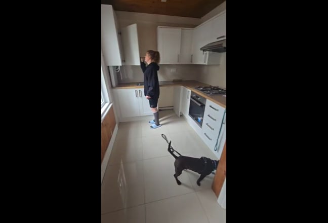 Video 1: Living room