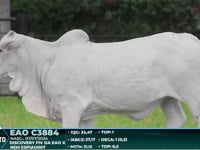 Lote 13