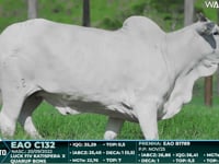 Lote 112