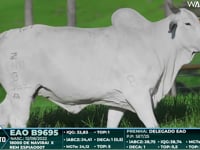 Lote 121