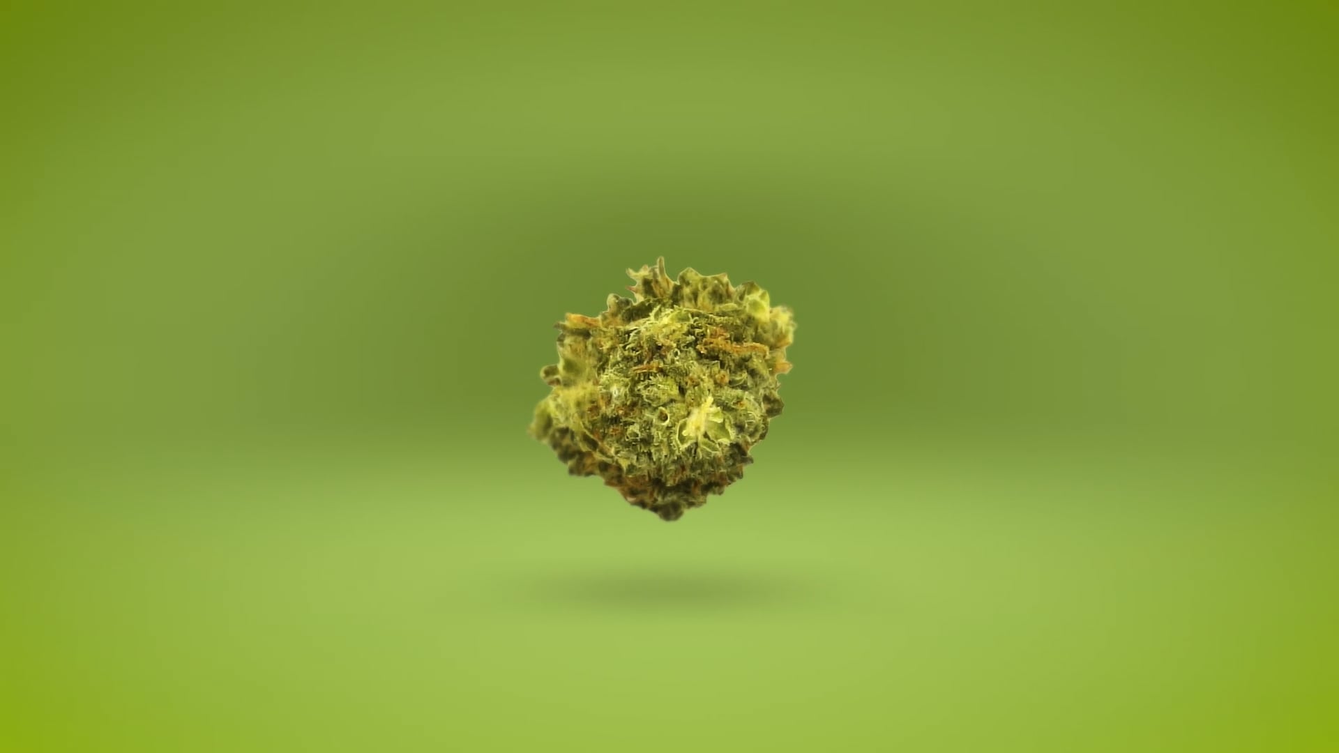 https://i.vimeocdn.com/video/2032007101-a2f58eaf57580f0dd86836d8d1c8e1e2b3d1834227f94da05c9665dd6469076b-d