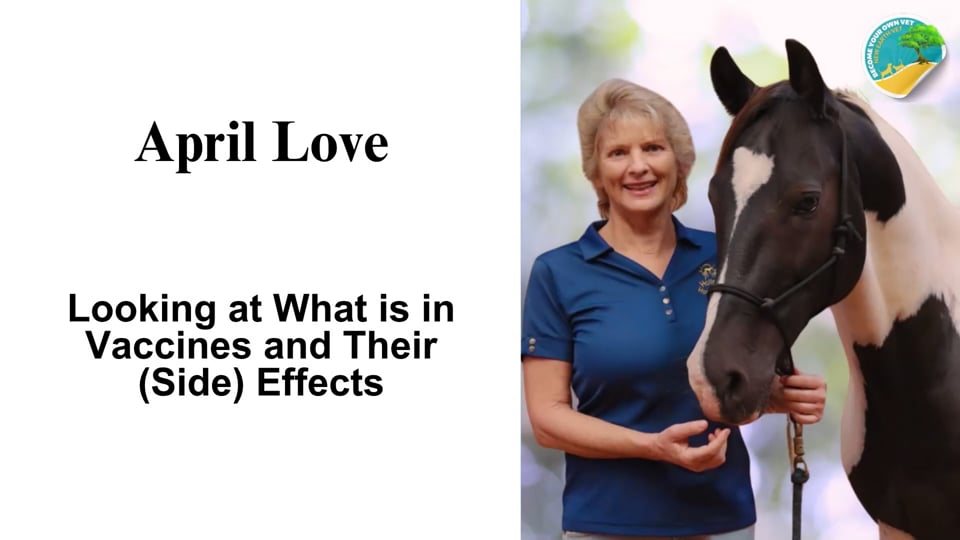 April Love - Looking at What is in Vaccines and their (Side) Effects