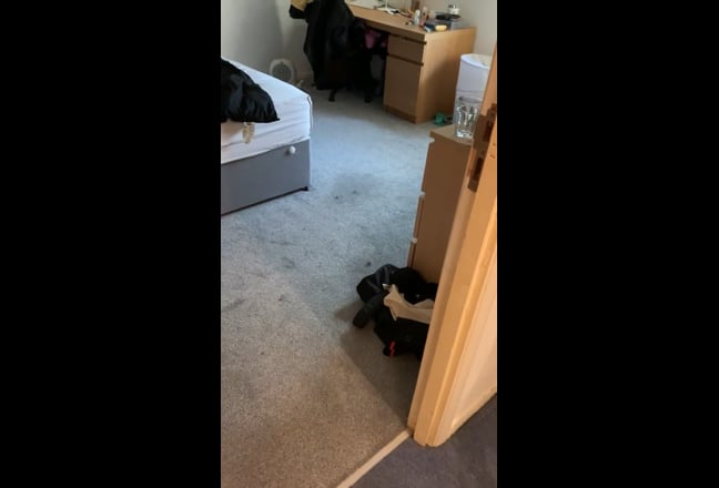 Video 1: