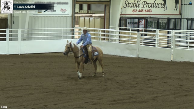 #331 Lance Scheffel
