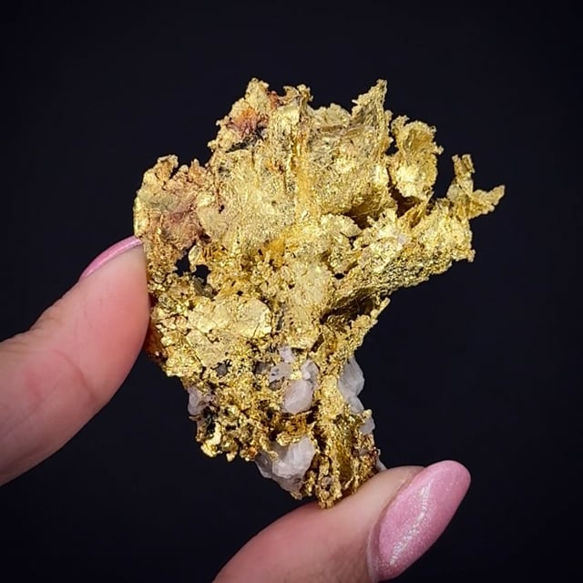 New Find: Eagle's Nest Gold! Mineral Specimens