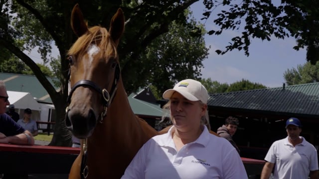 Karaka 2025 | Highlights