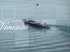 https://i.vimeocdn.com/video/2032177780-4ad60c5b13d1877bed60bf584f8fb3706583087239519c10954216bd468c19c6-d_100x75?region=us