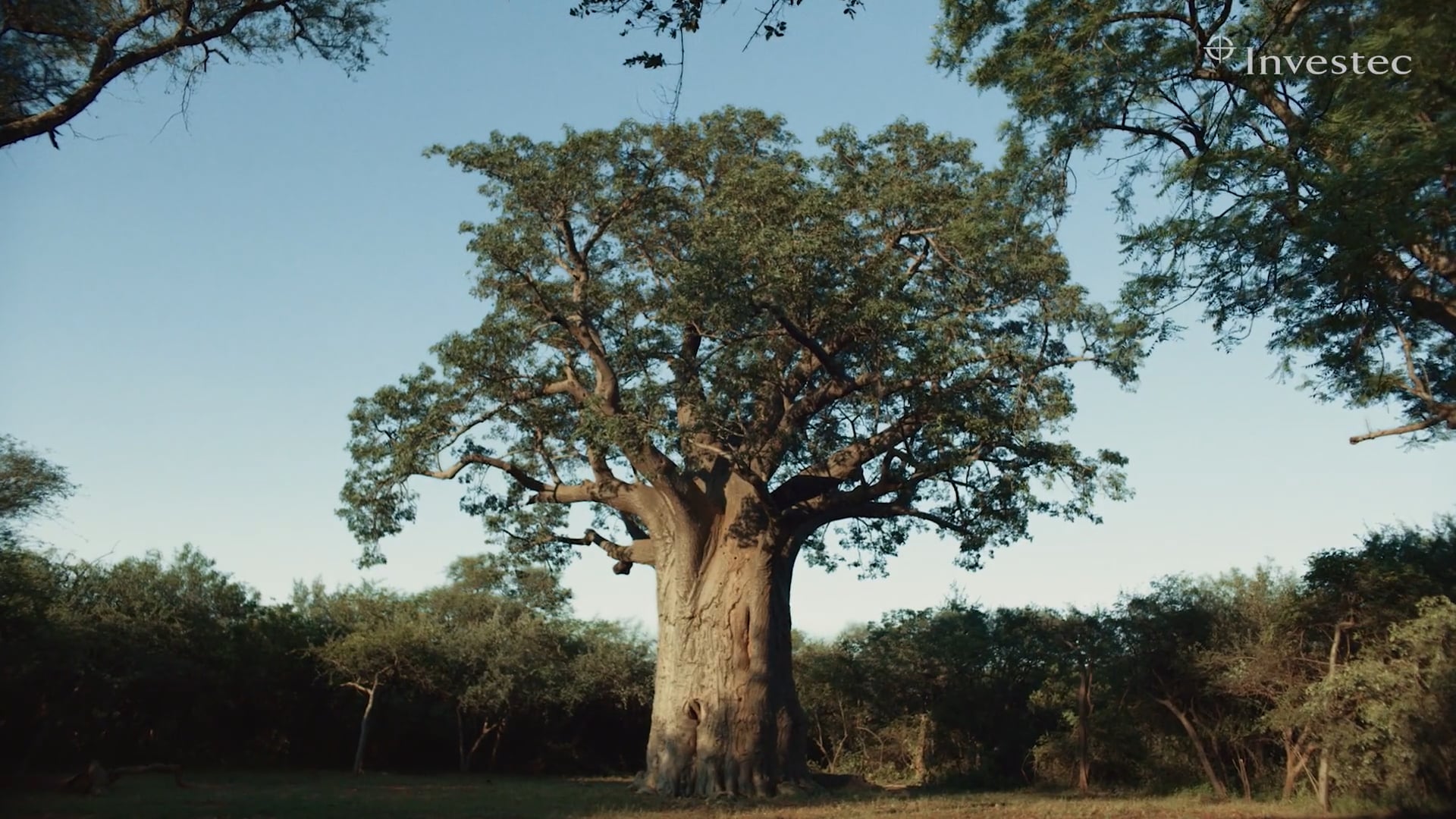 Investec "One Place"