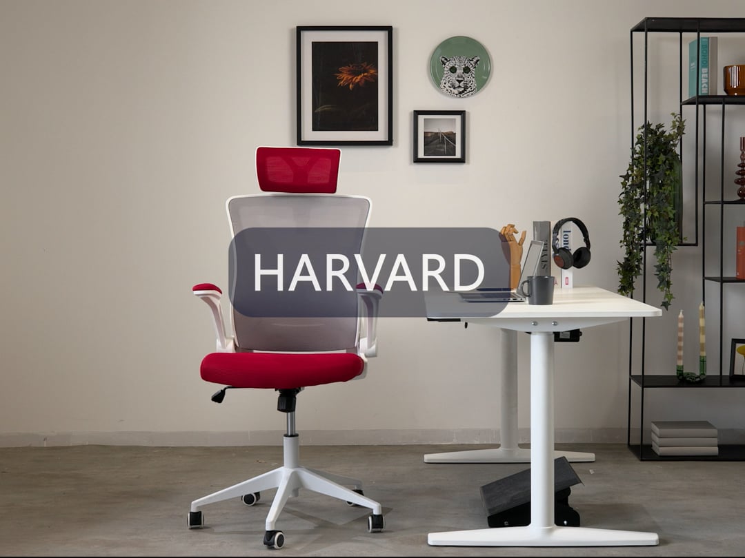 כיסא משרדי HARVARD 