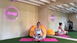 24 Minute Strength + Support with the Magic Circle